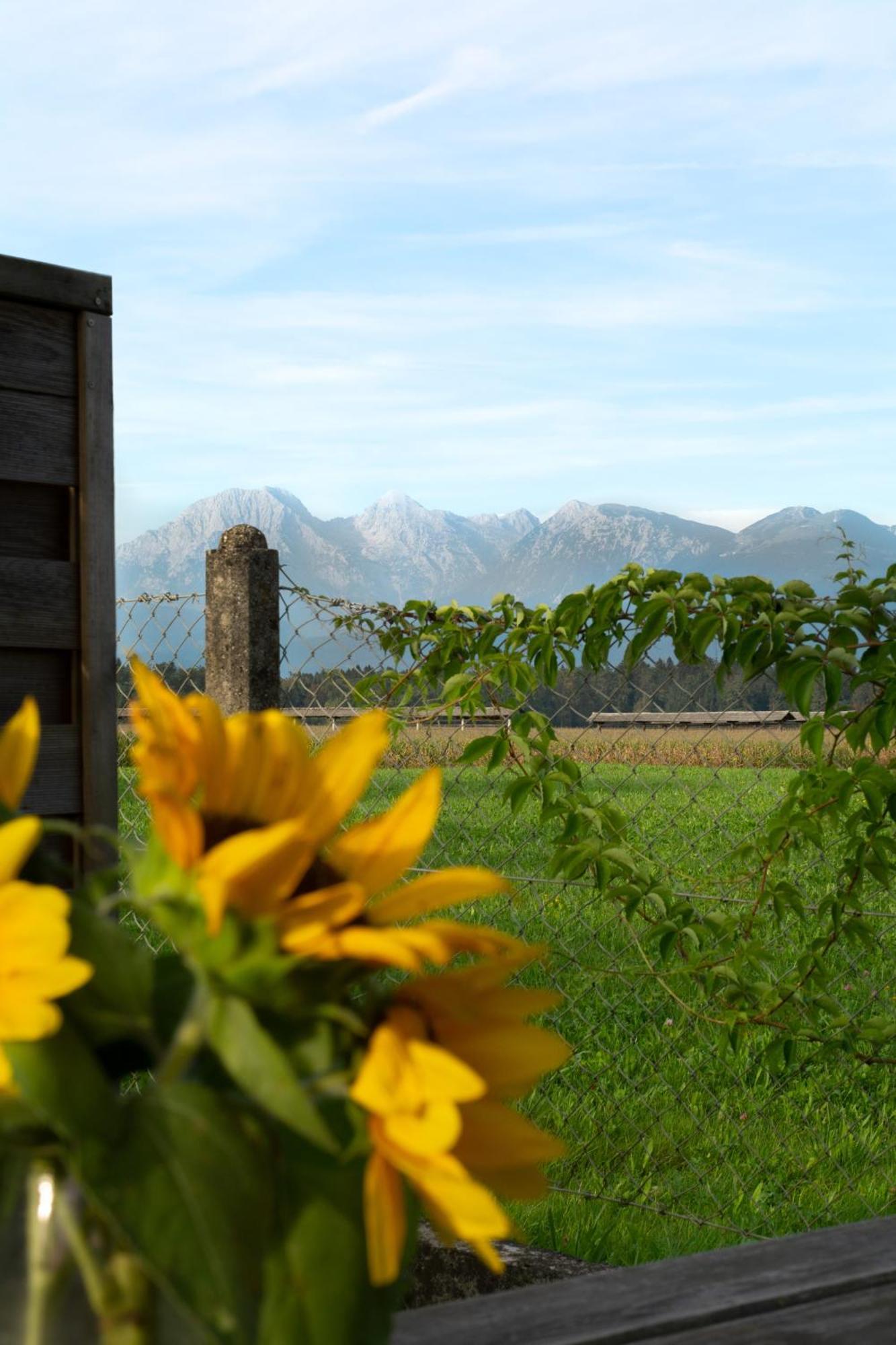 Glamping With A View Villa Smlednik Екстериор снимка